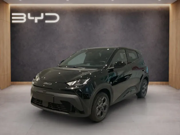BYD Dolphin Surf Comfort
