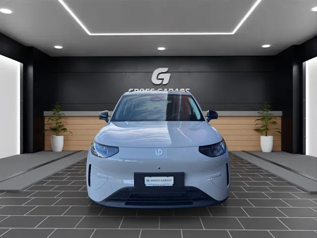 Leapmotor B03X BEV 53kWh