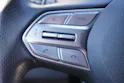 HYUNDAI Santa Fe 2.2 CRDI Vertex 4WD Automatic 7-PLÄTZER!!!