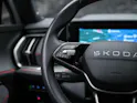 SKODA Kodiaq 2.0 TSI RS 4x4 *Head Up*Panorama*Standheizung*