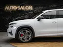 SKODA Kodiaq 2.0 TSI RS 4x4 *Head Up*Panorama*Standheizung*