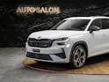 SKODA Kodiaq 2.0 TSI RS 4x4 *Head Up*Panorama*Standheizung*