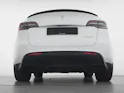 Tesla Model Y Performance