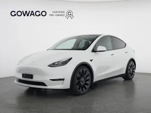 Tesla Model Y Performance