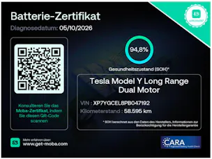 Tesla Model Y Performance