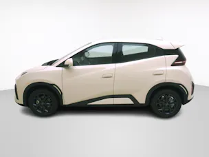 BYD Dolphin Surf Boost