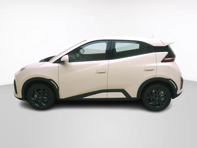 BYD Dolphin Surf Boost