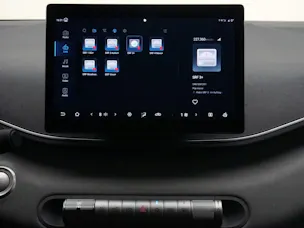 BYD Dolphin Surf Boost