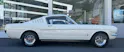 FORD Mustang V8 Fastback 302