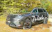 PEUGEOT 5008 325 73kWh GTExclusiv KMU Helvetia