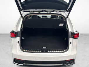 Lexus NX 300h Excellence