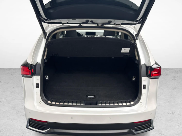 image du véhicule LEXUS NX