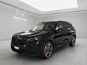 BMW X1 U11 30e xDrive paddles