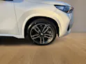BMW X1 U11 23d xDrive
