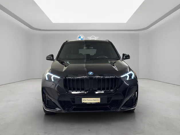 BMW X1 U11 30e xDrive paddles