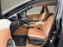Lexus RZ 500e Excellence