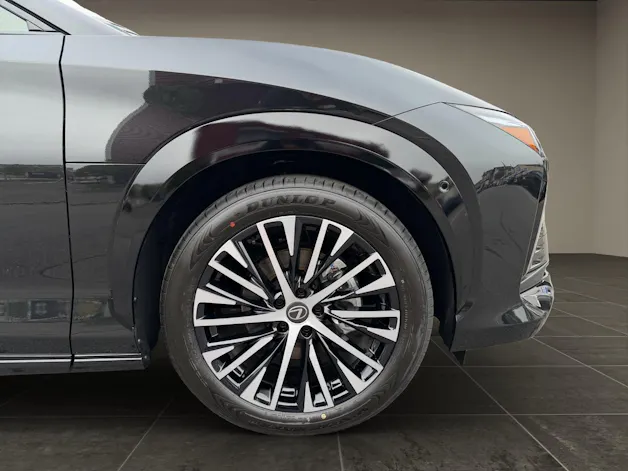 Lexus RZ 500e Excellence