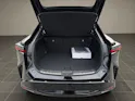 Lexus RZ 500e Excellence