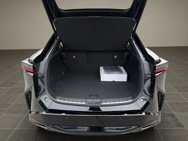 Lexus RZ 500e Excellence