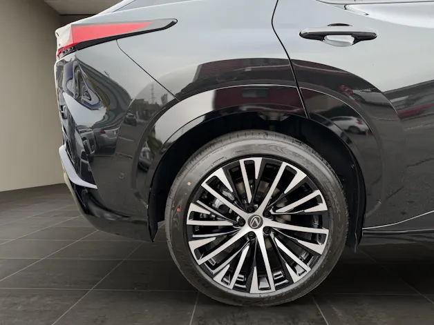 Lexus RZ 500e Excellence