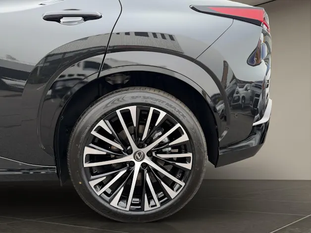 Lexus RZ 500e Excellence