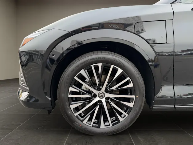 Lexus RZ 500e Excellence