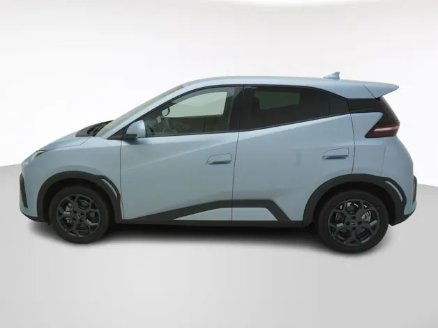 BYD Dolphin Surf Comfort