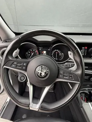 ALFA ROMEO Stelvio 2.0 Executive Q4