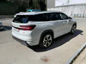 SKODA Kodiaq 2.0 TSI RS 4x4 7-Sitzer