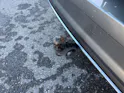 SKODA Karoq 2.0 TSI SportLine 4x4 DSG