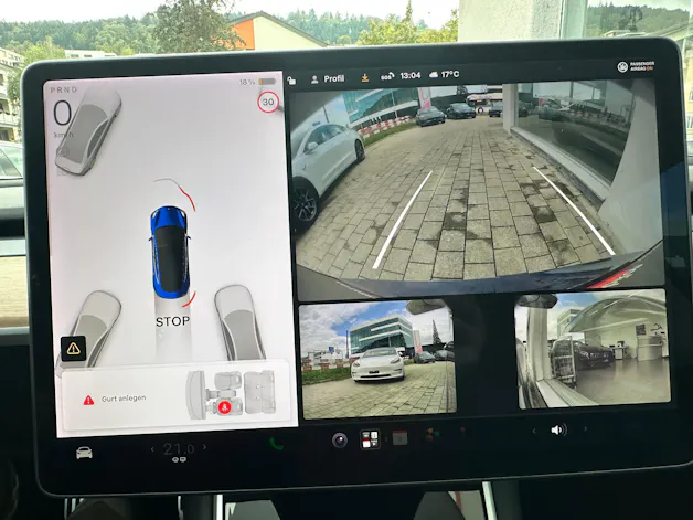 Tesla TESLA Model 3 Performance Dual Motor AWD