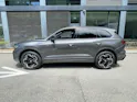 VW Touareg 3.0 TDI R-Line Final Edition Tiptronic