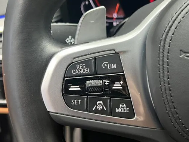 BMW 5er Reihe G30 520d xDrive paddles