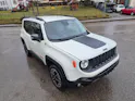 JEEP Renegade 2.0 CRD Trailhawk AWD + Low Range 9ATX