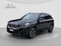 BMW X1 U11 30e xDrive paddles