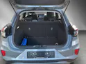FORD Puma 1.0 EcoB Hybrid 125 Titanium