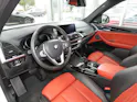 BMW X3 xDrive 25d Luxury Line Steptronic (Automat)