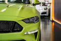 FORD Mustang Fastback 5.0 V8 GT 55 Automat