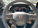 CUPRA Terramar 2.0 TSI DSG 4Drive VZ, AHK, Standheizung, Panoramadach usw