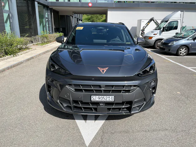 CUPRA Terramar 2.0 TSI DSG 4Drive VZ, AHK, Standheizung, Panoramadach usw