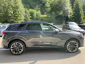CUPRA Terramar 2.0 TSI DSG 4Drive VZ, AHK, Standheizung, Panoramadach usw