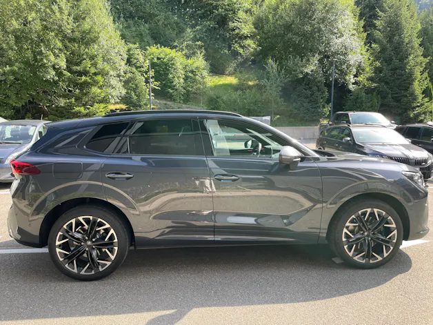 CUPRA Terramar 2.0 TSI DSG 4Drive VZ, AHK, Standheizung, Panoramadach usw