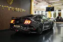 FORD Mustang Fastback 5.0 V8 GT