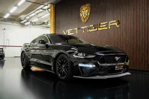 FORD Mustang Fastback 5.0 V8 GT