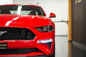 FORD Mustang Fastback 5.0 V8 GT Automat