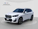 BMW X1 U11 30e xDrive paddles