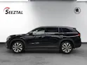 SKODA Skoda Kodiaq 2.0 TSI 4x4 Dynamic