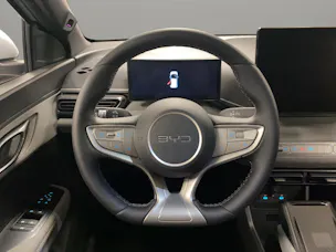 BYD Dolphin Surf Comfort