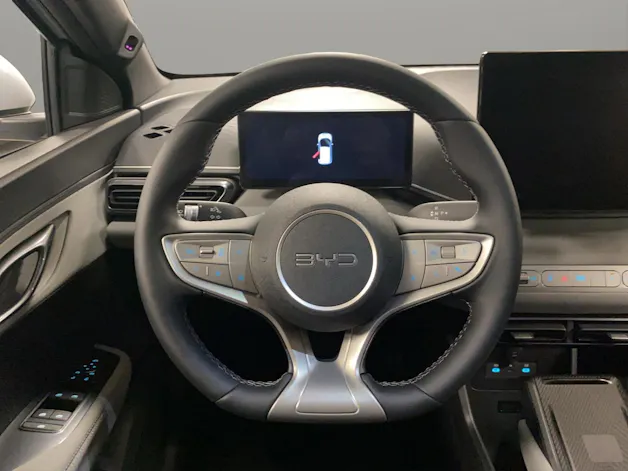 BYD Dolphin Surf Comfort