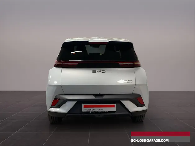 BYD Dolphin Surf Comfort